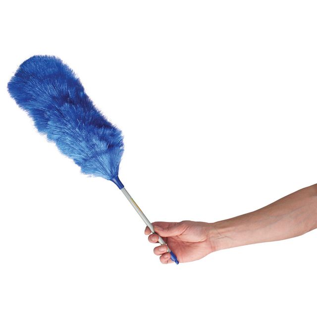 Dammvippa HT Blå 60cm 12st/krt